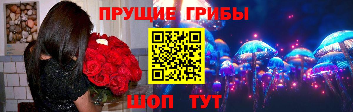 Псилоцибиновые грибы прущие грибы  купить наркоту  Мценск  Вход с VPN 
